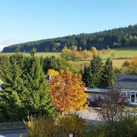 Fewos 4-Jahreszeiten Willingen  Exterior photo