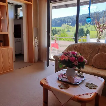 Fewos 4-Jahreszeiten Willingen  Exterior photo