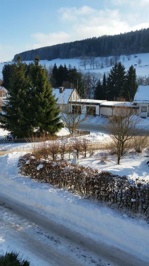 Apartment Fewos 4-jahreszeiten Willingen (Upland)