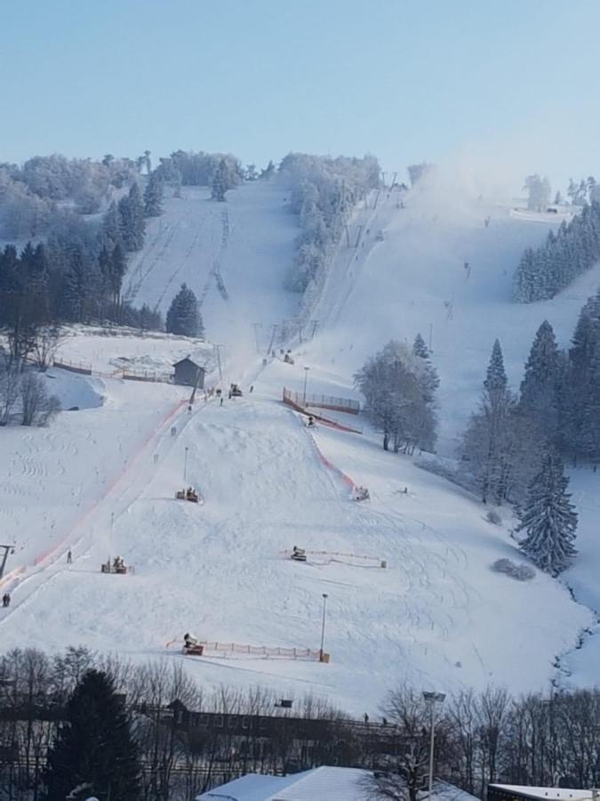 Fewos 4-jahreszeiten Apartment Willingen (Upland)